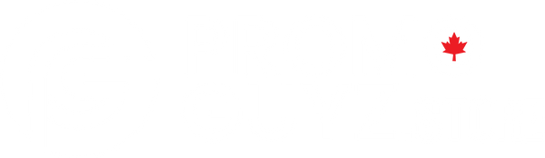 Promo Guyz Store